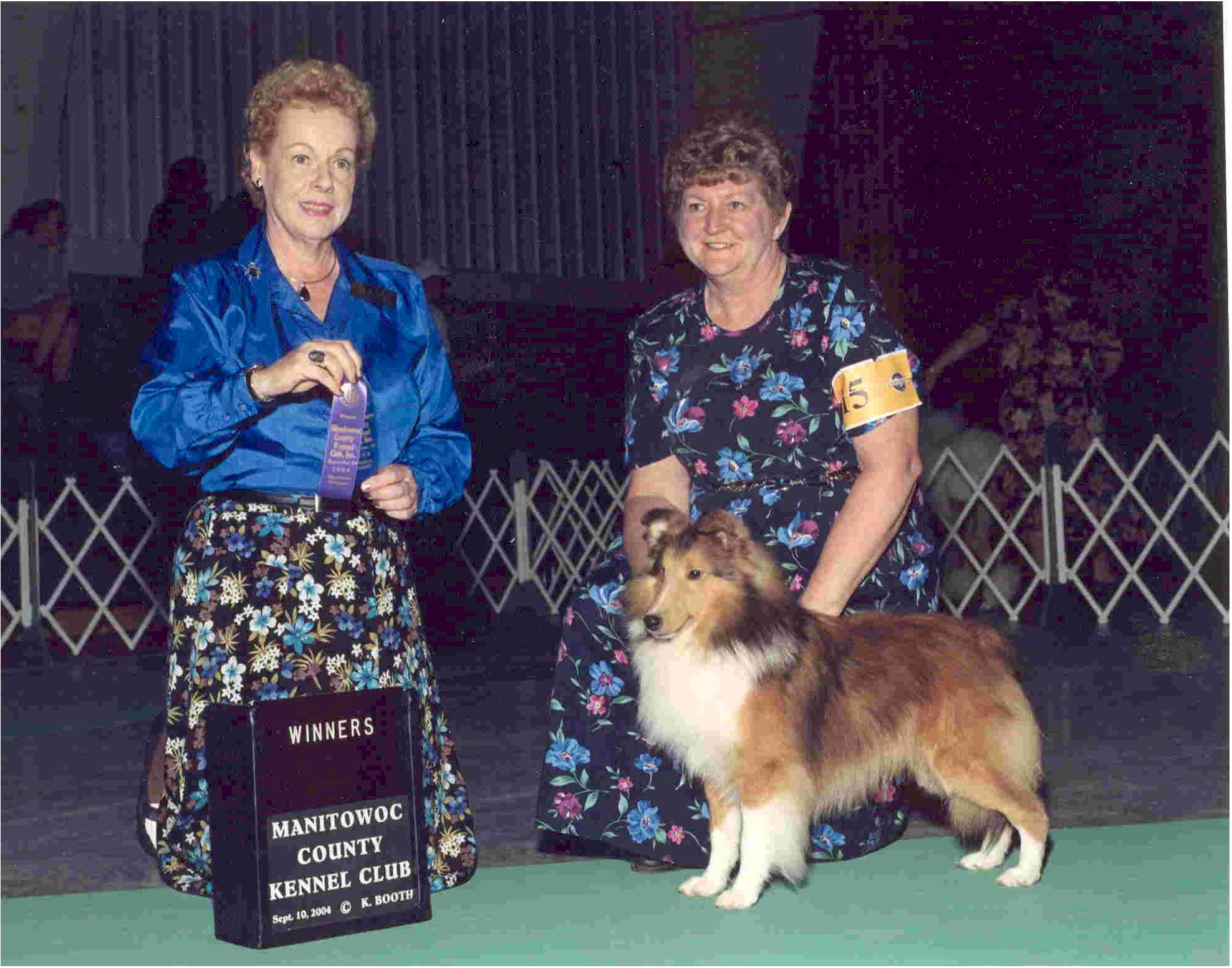 stargazer shelties